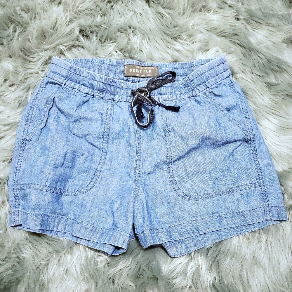 COPY - J Crew Point Sur shorts